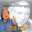Allah Hoo Allah Hoo (Vol. 224) CD