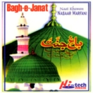 Bagh E Janat CD