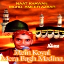 Mein Koyal Mera Bagh Madina CD
