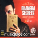 Bhangra Secrets CD
