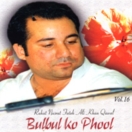Bulbul Ko Phool (Vol.16) CD