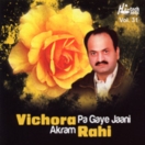 Vichora Pa Gaye Jaani (Vol. 31) CD