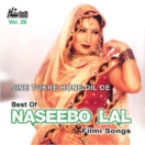 Best Of Naseebo Lal Filmi Songs (Jine Tukre Hone Dil De) CD