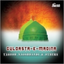 Guldasta-e-Madina CD