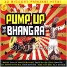 Pump Up The Bhangra (2 CD Set)