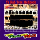 Ya Rab Tere Mehboob CD