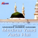 Madina Yaad Aata Hai CD